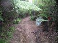 Image037 Schlamiger Weg zum Aufstieg auf den Gipfel eines H�gels auf dem Weg von der Stony Bay zur Fletcher Bay.