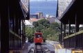 image007 Die Attraktion in Wellington: Cable Car
Von Lambton Quay hinauf nach Kelburn